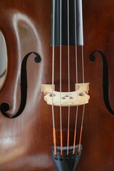 detail of five stringed double bass