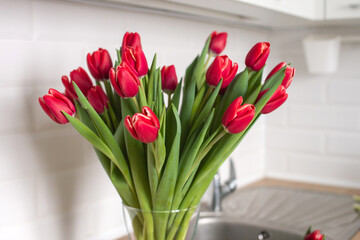Red kung fu tulips stand in a glass vase on the kitchen table. Bouquet of flowers