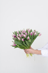Hold in hands a large bouquet of white-purple tulips on a white background