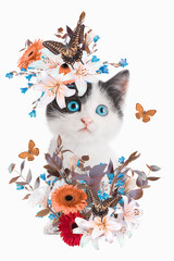Abstract art collage of kitten with flowers