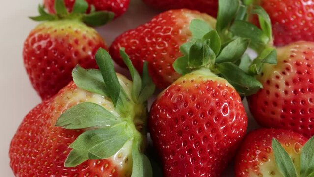 plusieurs fraises en gros plan, isol&eacute; sur un fond blanc