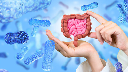 Intestine in hands. Microbiome of digestive system. Probiotic treatment. Probiotic cells for...