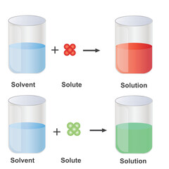 Solutions. Solubility homogeneous mixture. Solute, solvent and solution. Dissolving solids. Educational diagram.schematic of solubility in chemistry.