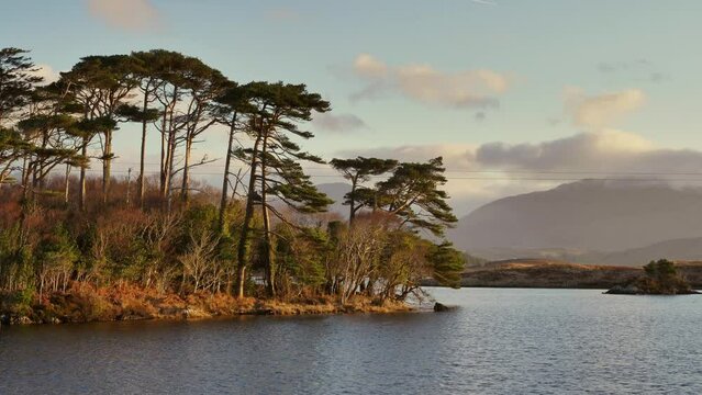 Sunrise over the lake Pine Island at Connemara in County Galway - Ireland 