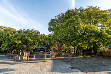 吉良川町