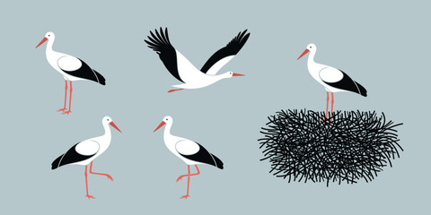 Stork set. Isolated stork on white background - obrazy, fototapety, plakaty