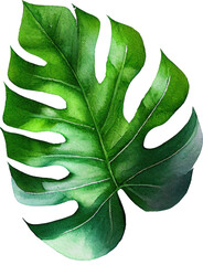 Monstera Leaf Watercolor Illustration. Generative AI