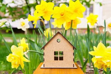 Wooden House Model Amongst Yellow Daffodils