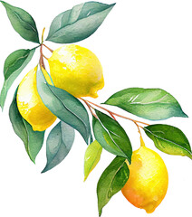Lemon Fruit Watercolor Illustration. Generative AI - obrazy, fototapety, plakaty