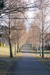 a small road in Sweden in the beginning of winter
