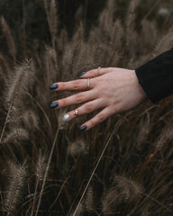 Aesthetic Hand Touching Grass 