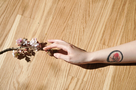 A woman hand with tattoo holding a branch of peach blossoms