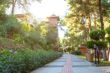 Beautiful landscaped alley among greenery private houses.