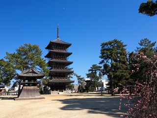 四国八十八ヶ所霊場第75番札所・善通寺の五重の塔【香川県善通寺市】14