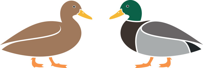 Duck logo. Isolated duck on white background. Bird