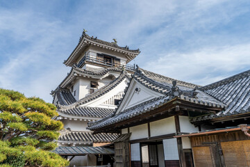 Fototapeta premium 高知城