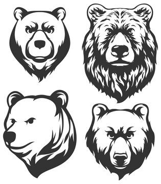 Head of bear. Abstract character illustration variant set. Graphic logo design template for emblem. Image of portrait.