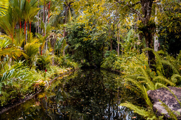 Luxury landscape design of the tropical garden