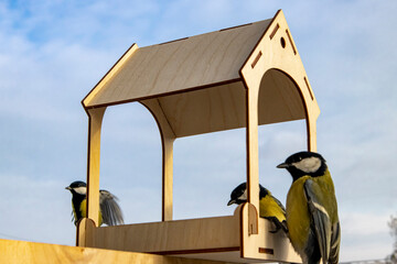 Birds at the feeder against a blue sky with clouds