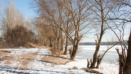 landscape with trees and snow