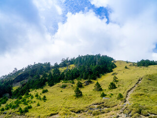 Obraz premium 台湾 南投県 合歓山