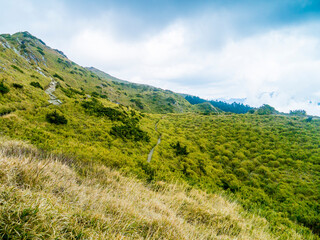 台湾 南投県 合歓山