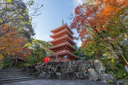 「竹林寺」の写真素材 | 3,298件の無料イラスト画像 | Adobe Stock