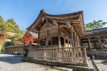 Fototapeta premium 土佐神社