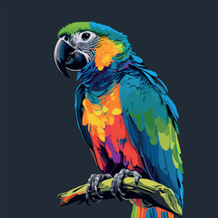 Colorful Parrot pop art style vector illustration
