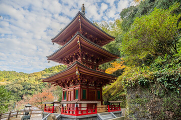 Fototapeta premium 青龍寺