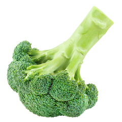 Delicious fresh broccoli cut out