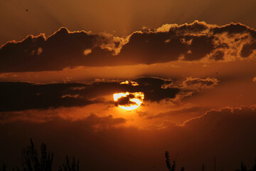 sunset in the city