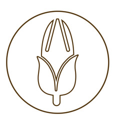 Corn, food, fresh icon