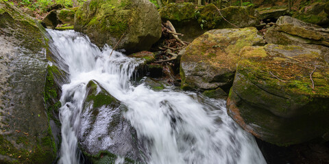 waterfall on the river in forest. beautiful landscape of carpathian beech forest