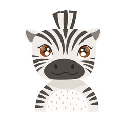 Little cute young zebra. Vector illustration of animal cartoon flat design on white background