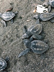 Processed with VSCO with c1 preset