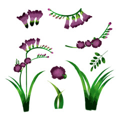 Vector Botanical set of wild flowers set of separate parts and bring together to beautiful bouquet of flowers in water colours