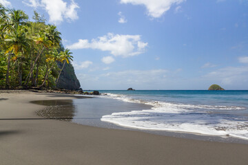 black sand beach and palm trees