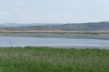landscape of the pitillas lagoon Spain