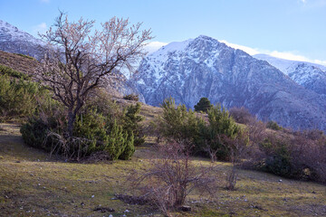 Mountain scene at Sirente Velino Natural Regional Park in Abruzzo, Italy	