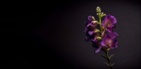 Dark purple snapdragon in black background generative ai