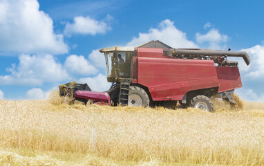 Combine harvester working in wheat field in a summer day. Harvesting period