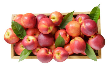 fresh nectarines in a wooden box isolated on transparent background, top view