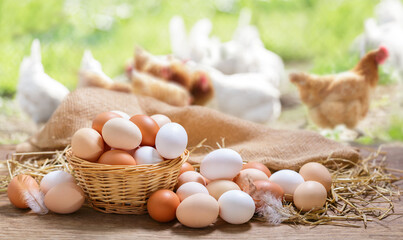 Colorful chicken eggs on a wooden table in the chicken farm - obrazy, fototapety, plakaty