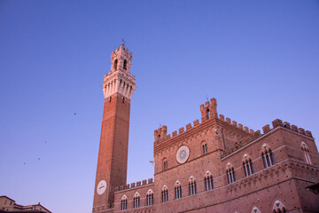 Fototapeta premium Piazza del Campo (Campo square), Palazzo Publico and Torre del Mangia (Mangia tower) in Siena, Tuscany, Italy