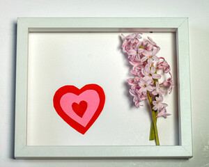 beautiful pink hyacinth flower and heart, happy holidays, spring
