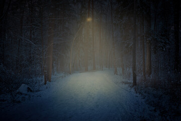 Night snowy footpath in park lighted by street lamp. Nighttime with curvy roadway in forest at national park. Night road in winter forest. Scenic night landscape of road through the park.