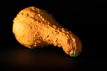 Large yellow squash reflecting on a black background