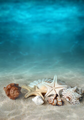Seashells on the summer beach in sea water. Underwater ocean background. - 578024711