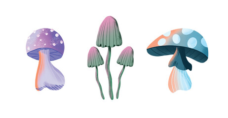 Mushrooms set; watercolor hand draw illustration; with white isolated background